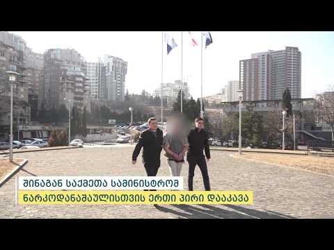 შინაგან საქმეთა სამინისტრომ ნარკოდანაშაულისთვის ერთი პირი დააკავა