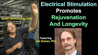 Electrical Stimulation Promotes Rejuvenation  And Longevity