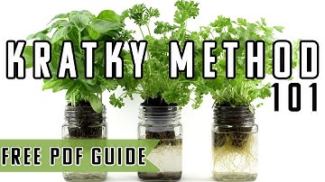 Kratky Method Hydroponics Explained