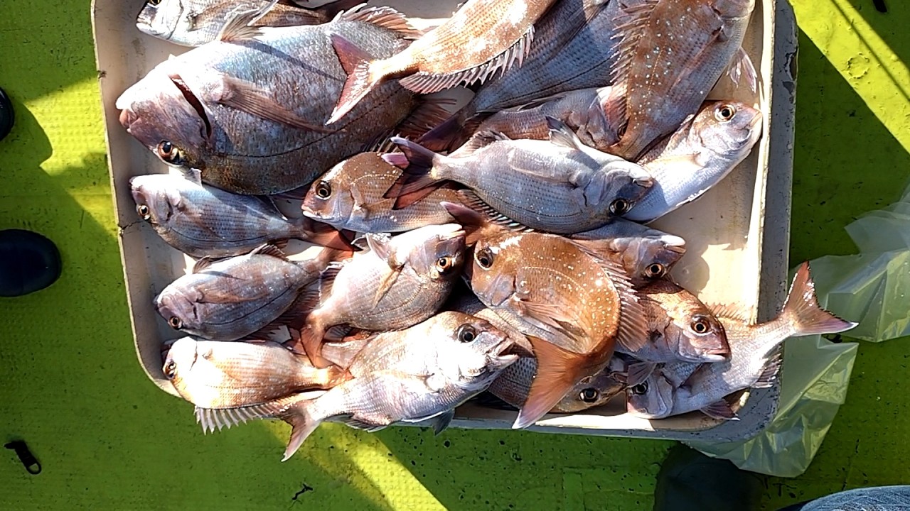 3連休2日目２月22日