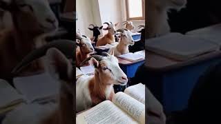 What If This Were Possible