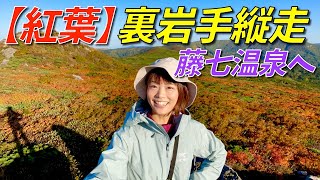 【紅葉真っ盛りの東北】三ツ石山で紅葉の大絶景！裏岩手連峰を縦走し藤七温泉を目指す！
