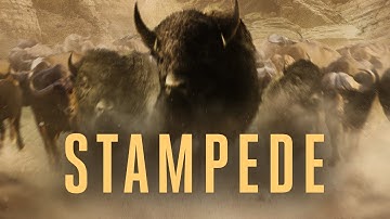 Uncaged ft. MC Robs - Stampede (Official Audio)