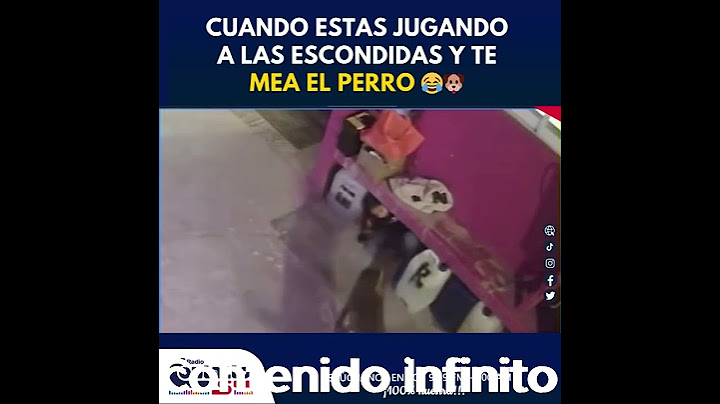 Una niña jugando a las escondidas termina en el peor lugar... ¡y un perrito hace lo impensable! Ríe