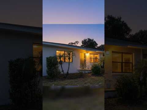 553 Jefferson St, Palm Harbor, FL home video tour