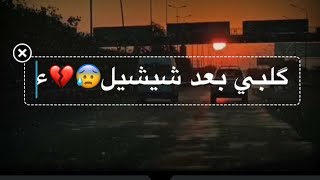 كلبي بعد شيشيل استاهل اني وحيل😥💔 صووت يموت وربي