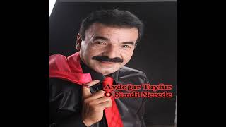 Aydoğan Tayfur - O Şimdi Nerede