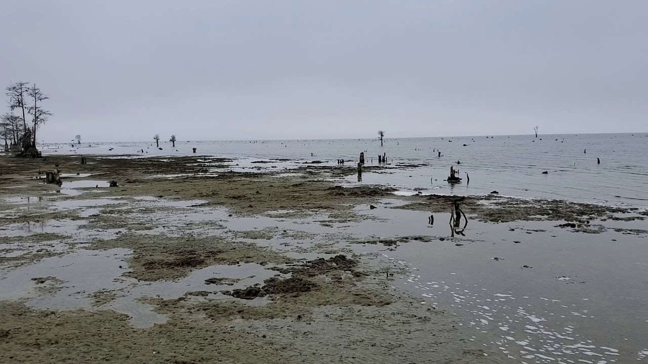The Hatchery Lake Moultrie