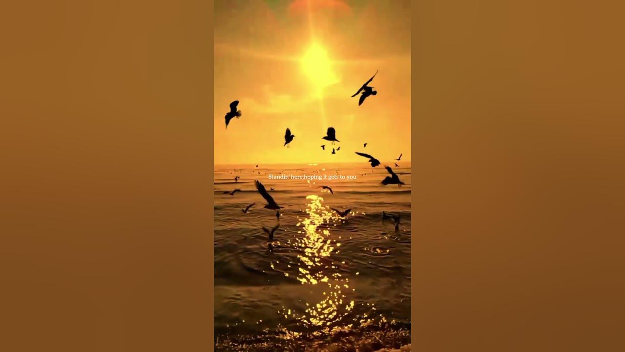 Message in a bottle - slowed + reverb (Taylor's version) #Taylorswift