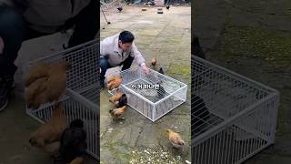 독수리 빼고 다 들어옵니다