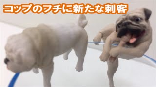 PUTITTO SERIES パグ PUG DOG 奇譚クラブ japanese capsule toy ガチャポン ガシャポン ガチャ 【遊you ガチャガチャ 紹介動画】