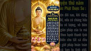 Phật Dược Sư Độ Người Lầm Lỗi | Đại Nguyện Thứ 5 🙏