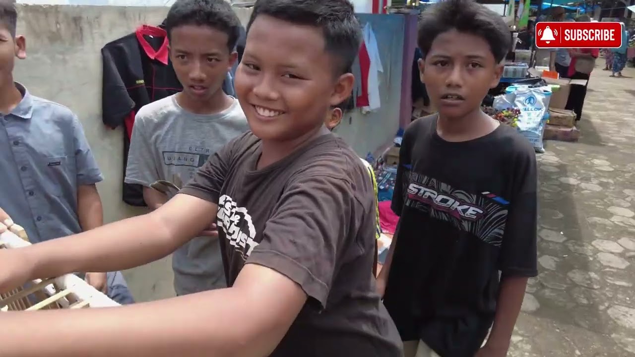 ketika saya kesiangan ke pasar #merpatirumahan #merpatibagus