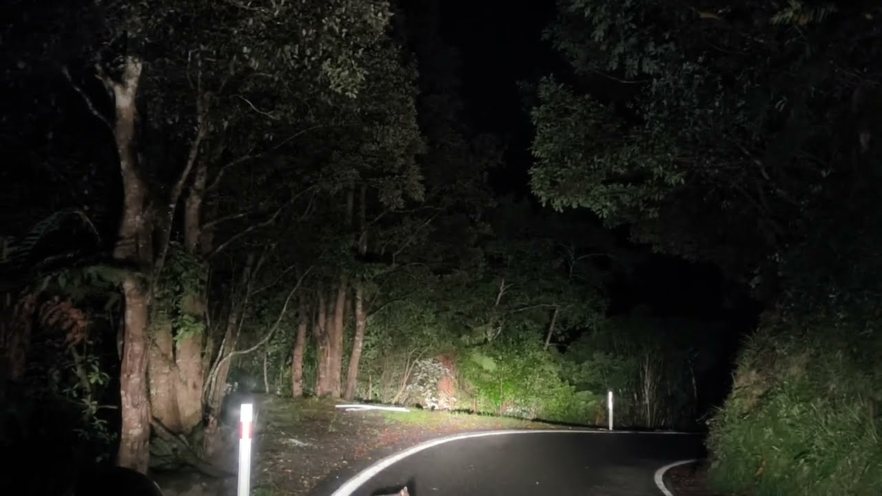 Night Forest Drive 112 Return - 4k - Akatarawa Road Rambles