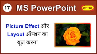 Picture Layout & Picture Effect in MS PowerPoint | PowerPoint Picture Layout| PPT Picture Effect -17
