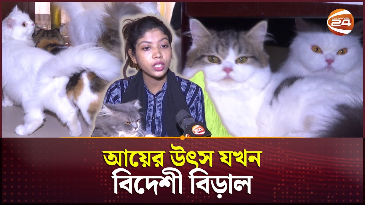 শখের বশে বিড়াল পুষে লাখপতি খাদিজা | Cat Farming | Khulna | Channel 24