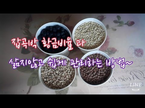 잡곡밥 제대로 알고 드시나요~,mixed rice,#83