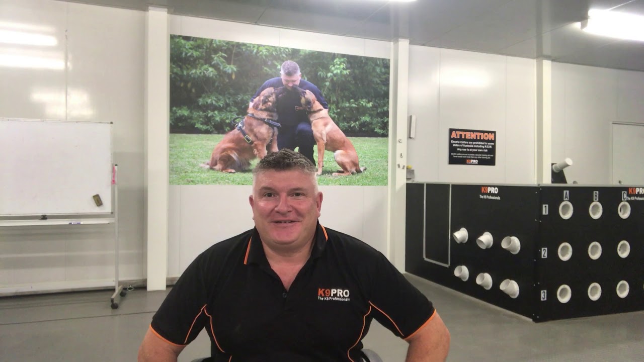 Christmas 2019 Some words from Steve