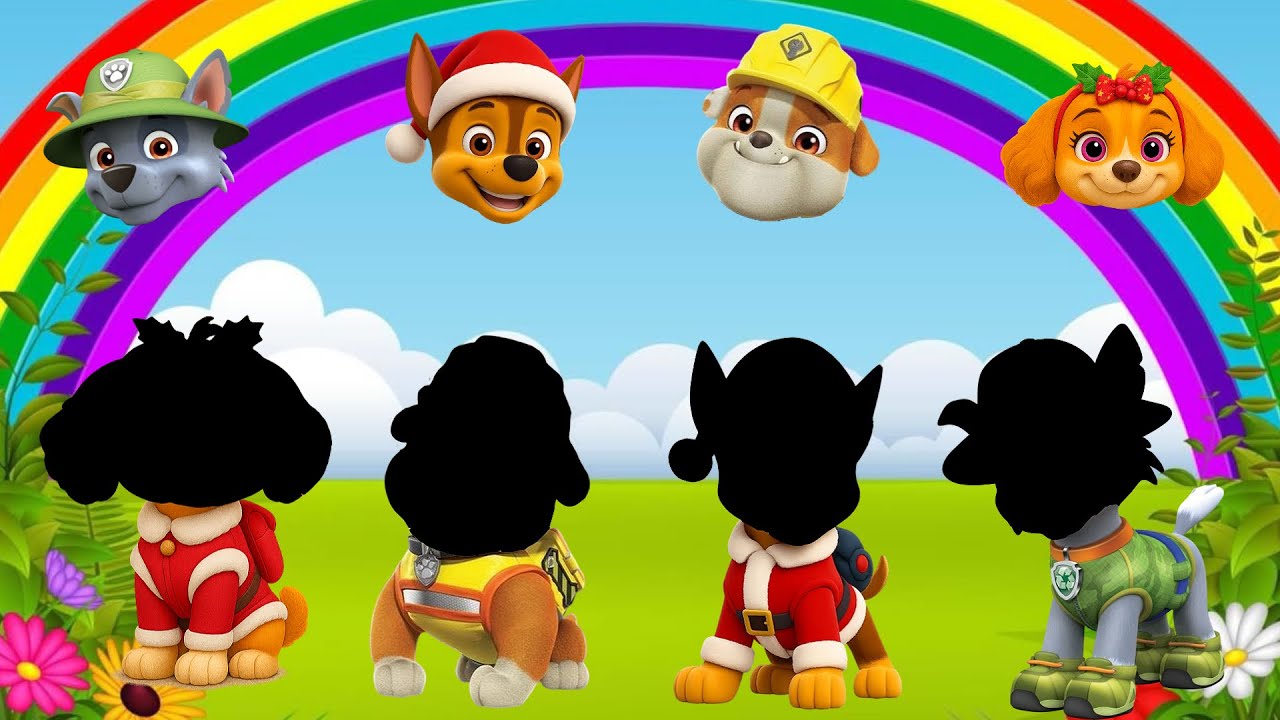 WRONG HEADS 🤯 PAW PATROL 🐶 NEW EPISODES 🌈 DEMU TO COSITA SONG