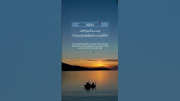 سورة الانعام بصوت الشيخ عبدالله الموسئ تلاوة عطر#islamicstatus