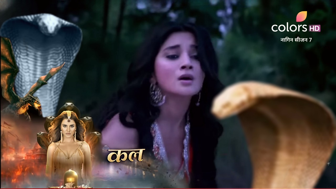 Naagin 7 - Upcoming Episode 16 - 17 15 & 21 February नागिन 7 RADHIKA PE HAMLA - NEW PROMO