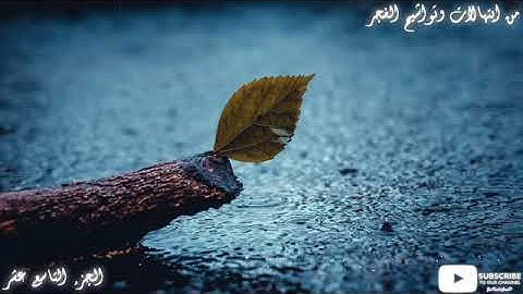 تواشيح الفجر | أكثر من ساعة متواصلة من تواشيح الفجر من إذاعة القرآن الكريم | الجزء التاسع عشر
