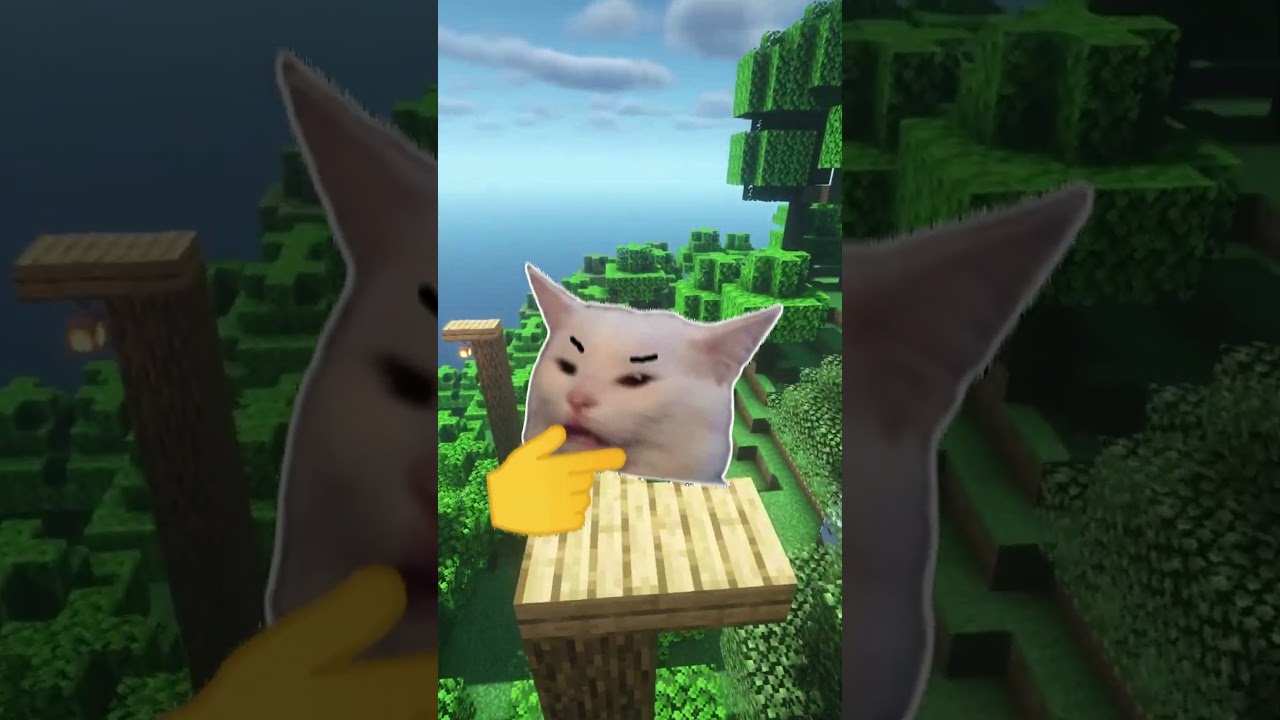 Diese Dinge passen random viel zu gut zueinander!😨Minecraft Tordi 