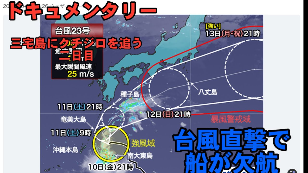 【ドキュメンタリー】三宅島にクチジロを追う2025/二日目/東海汽船欠航により絶望の二日目