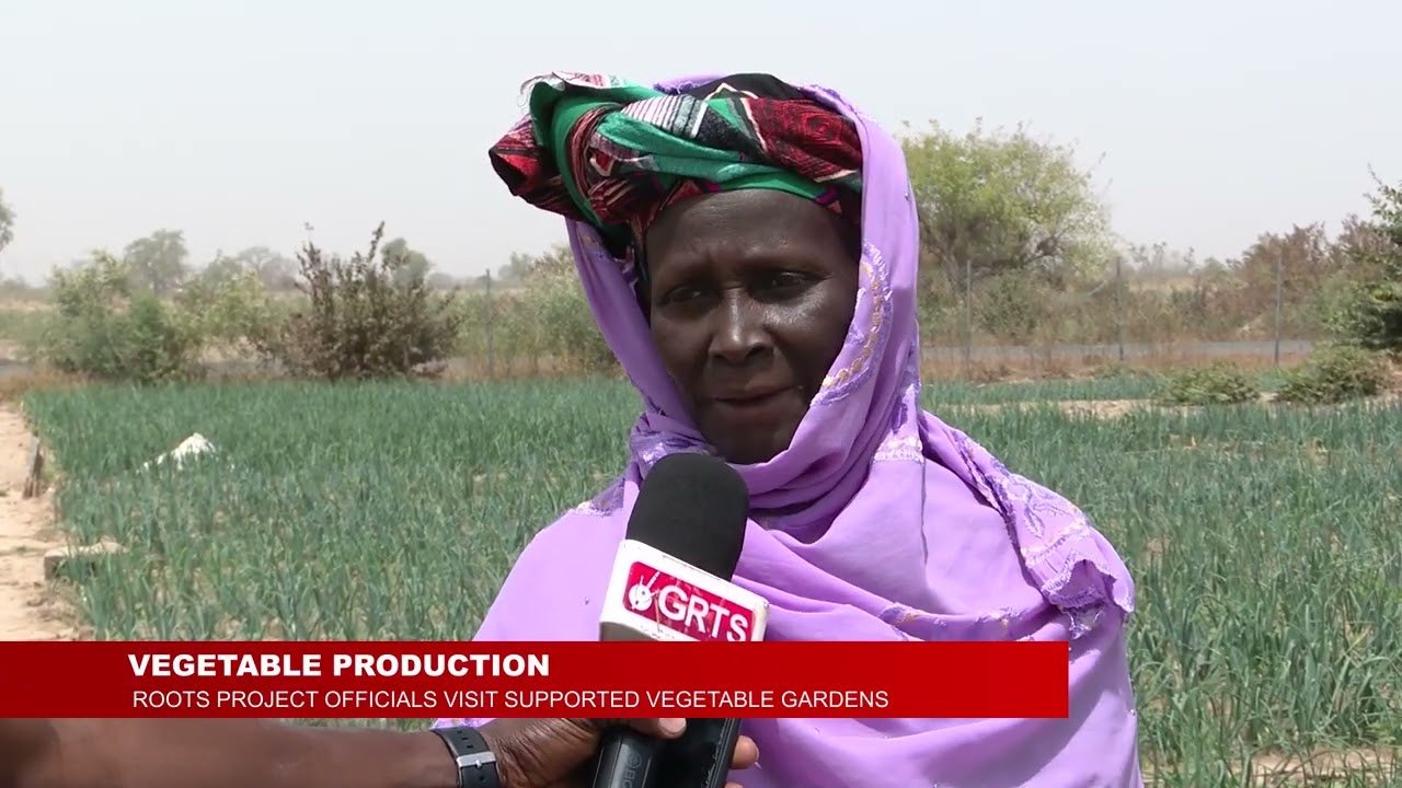 ОВОЩНОЕ ПРОИЗВОДСТВО