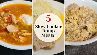 5 EASY SLOW COOKER DUMP MEALS! by No Getting Off This Train 639 views 2 months ago 5 minutes, 24 seconds