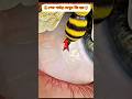 🔥 Unbelievable Moments Caught on Camera 😱 | Must Watch Till The End!#shorts #viral