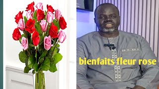 Bienfaits de la fleur rose