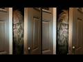 The Most HORRIFYING Bigfoot Encounters Ever!
