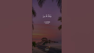 سورة مريم | عبد الرحمن مسعد