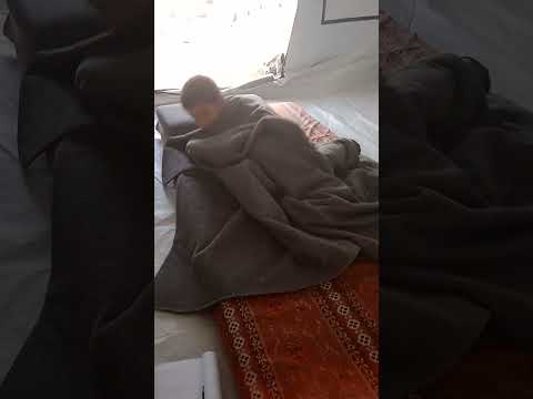 الم ش م ل ة