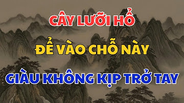 Cây lưỡi hổ đặt chỗ này, sau 1 đêm tiền bạc ùn ùn kéo đến - Cực Giàu