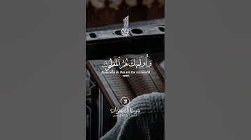قرآن كريم || حالات واتس اب #راحه_نفسيه_Quran #اكتب_شيئ_تؤجر_عليه🌿🕊