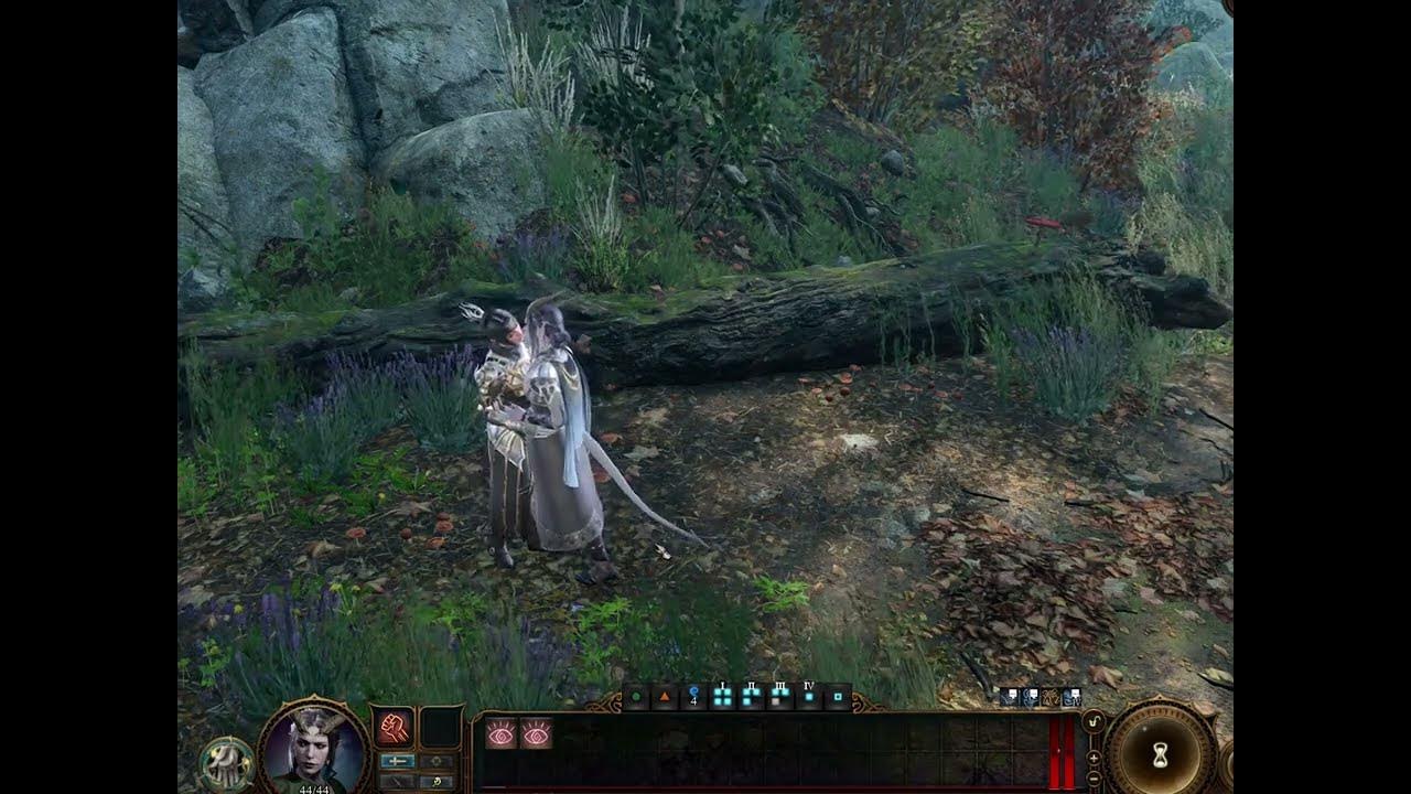 BG3 Animation Framework WIP - YouTube