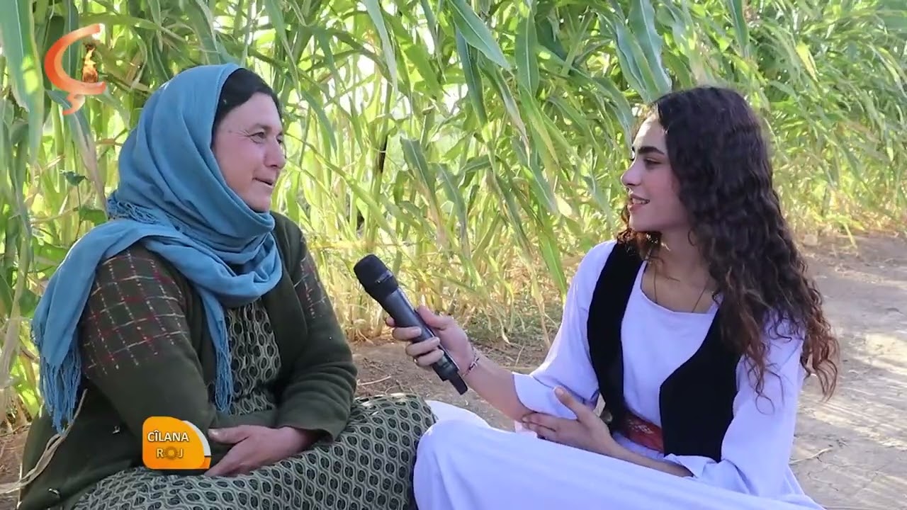 11.08.25 |  Cîlana Roj