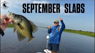 Details Finally Caught SACALAIT on My Homemade Hair Jigs! | Louisiana Crappie Fishing | Catch & Cook! Guide