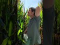 corre jao #funny #piadascurtas #viralvideo #comedy #piadasrapidas #humor #memes #comedia