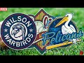 WILSON WARBIRDS vs MYRTLE BEACH PELICANS LOW-A LIVE GAME CAST & CHAT