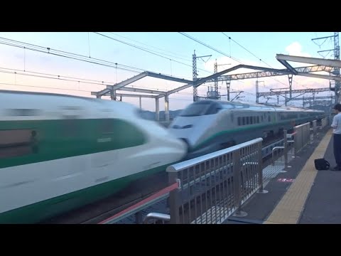 E2系J66編成（200系カラー）＆E3系L65編成（銀色つばさ復刻塗装）新白河駅通過