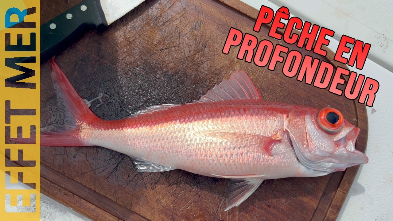 Pêche en Grande Profondeur : Capture de Grands Yeux dans la Baie de Fort-de-France 🎣