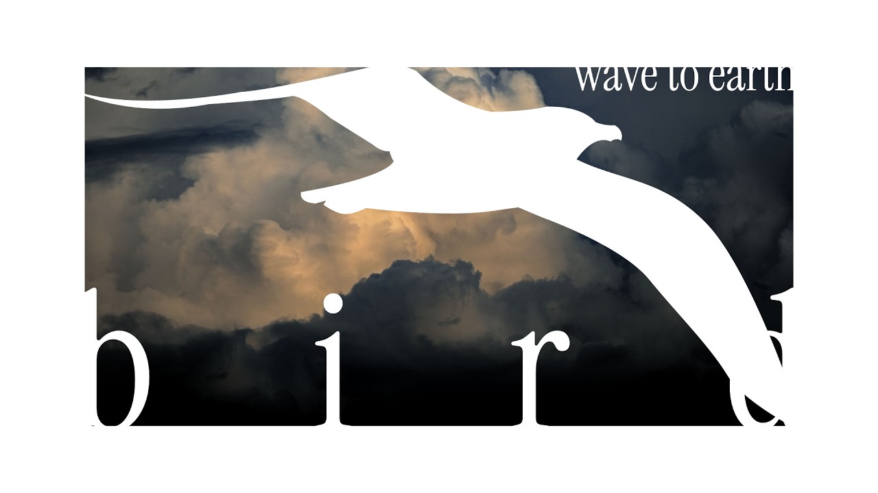bird - wave to earth [lyrics/vietsub]