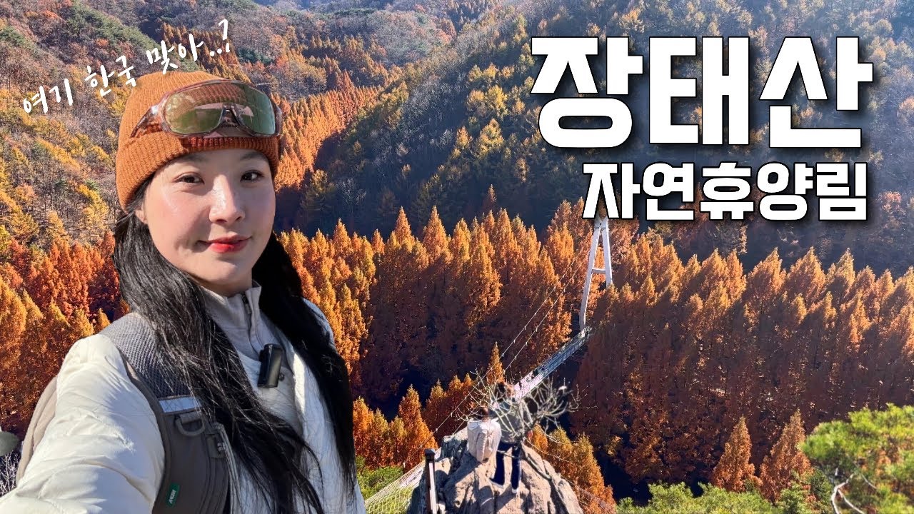 대전 #장태산자연휴양림 가을동화 속으로🧡 등산 브이로그 | 가을산행 | 장태산 | 등산추천 | 메타세콰이아 | 혼산 | 한국여행 | 하이킹 | 트레킹 | trekking