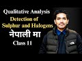 Sulphur र Halogen को Detection | Sodium Nitroprusside | AgNO3 Test | Lead Acetate Test #NEB