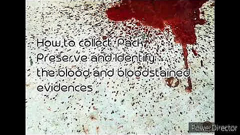 How to collect blood samples from a crime scene? (2023)