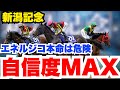 【新潟記念】的中への道はエネルジコの取り扱いのみ!枠順確定後最終見解