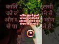 कार्तिक मास में तुलसी सीचना क्यों जरूरी है#तुलसी#विष्णु#पुराण#shorts#viral #trending#ytshortsindia